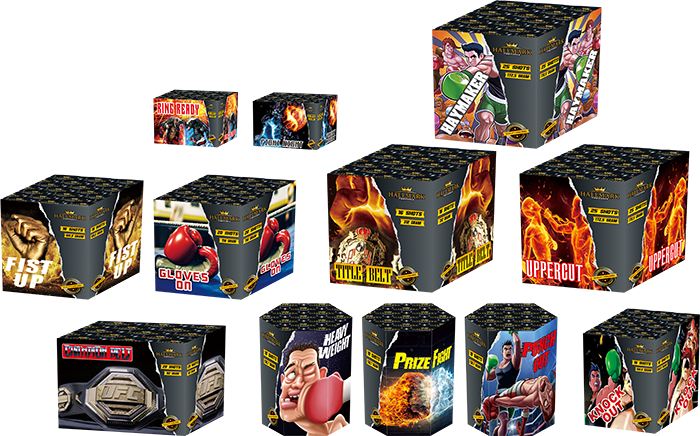 PUNCH BAG | 12 Barrage 408 Shots